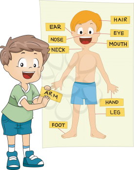Illustration of a Kid Identifying the Parts of the Body