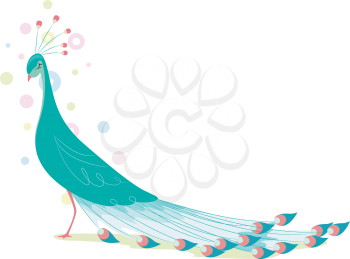Royalty Free Clipart Image of a Peacock