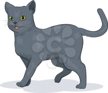 Illustration of a Cute Russian Blue Cat