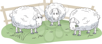 Illustration of Wooly Sheeps Standing on a Patch of Grass
