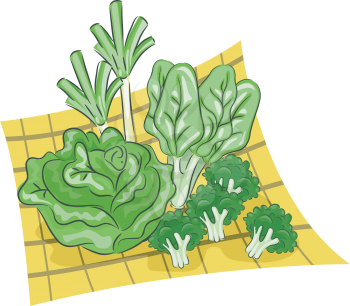 Illustration Featuring a Group of Green Vegetables