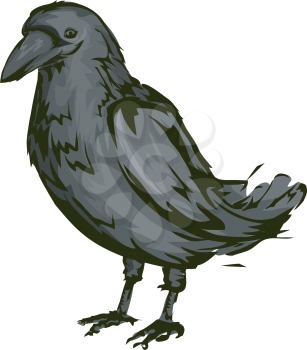 Illustration Featuring a Crow