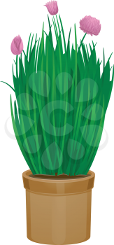 Illustration Featuring Potted Chives