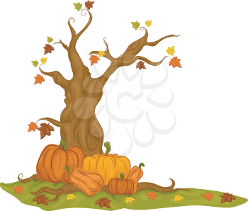 Illustration Featuring Pumpkins Lying Beneath a Maple Tree