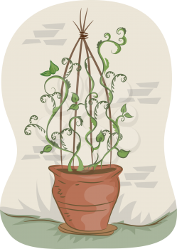 Illustration of Vines Climbing Up a Teepee Trellis