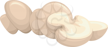 Illustration of a Group of Untouched Button Mushrooms Resting Side by Side WIth Sliced Ones