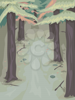 Background Illustration of a Woody Area Populated by Pine Trees