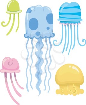 Grouped Illustration of Different Types of Jellyfishes