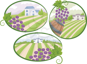 Illustration of Vineyard View Design Elements