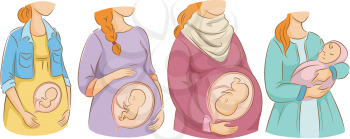 Illustration of a Chart Showing the Stages of Pregnancy