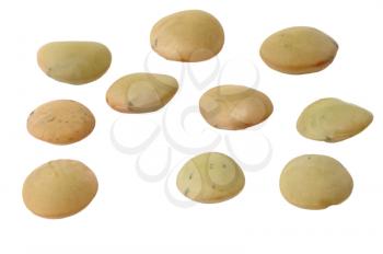 Seeds of lentils close up on a white background.