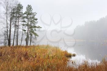 Royalty Free Photo of an Autumn Morning With Mist on the Water
