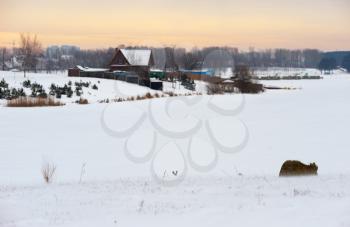 Royalty Free Photo of a Winter Landscape With a House in the Background