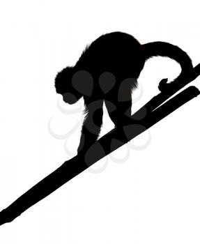 Royalty Free Photo of a Silhouette of a Monkey