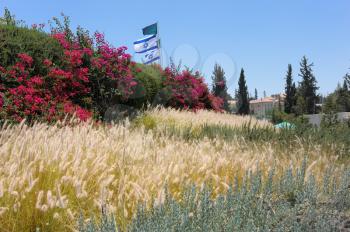Royalty Free Photo of Flowers and Grass the Monastery Latrun in the Background (Israel) 