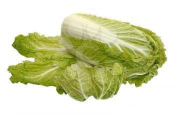 Fresh Beijing cabbage on a white background, isolated