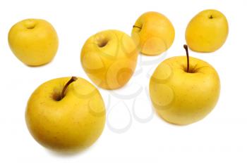 Yellow apples on a white background, isolated