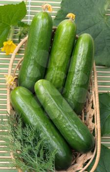 Royalty Free Photo of Cucumbers in a Basket