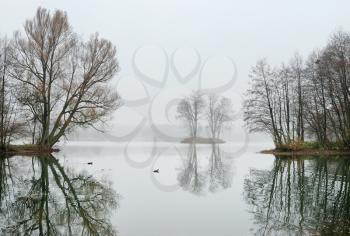 Royalty Free Photo of Ducks on a Winter Lake