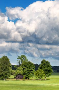 Royalty Free Photo of the Beginning of Summer, a Few Trees at the Edge of the Field and Clouds in the Sky.