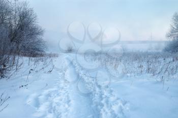 Royalty Free Photo of a Frosty Landscape With a Pathun