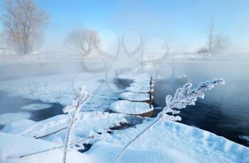 Royalty Free Photo of a Winter Fog With Icy Twigs in the Foreground