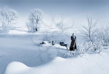 Royalty Free Photo of a Women in a Winter Scene