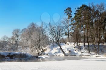 Royalty Free Photo of a Frosty Day With Snow