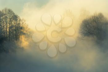 Royalty Free Photo of a Foggy Day