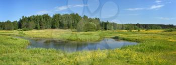 Royalty Free Photo of a Panorama of a Meadow and Stream