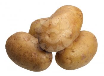 Several brown potatoes on white background, isolated