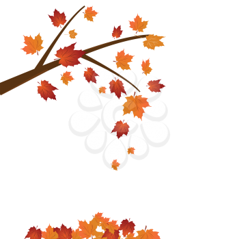Royalty Free Clipart Image of an Autumn Tree Branch