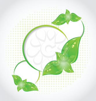 Illustration abstract frames with eco green leaves - vector
