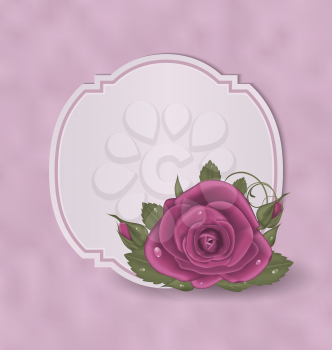 Illustration vintage card with pink roses - vector