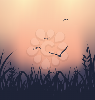 Illustration landscape with grass and flying seagulls - vector