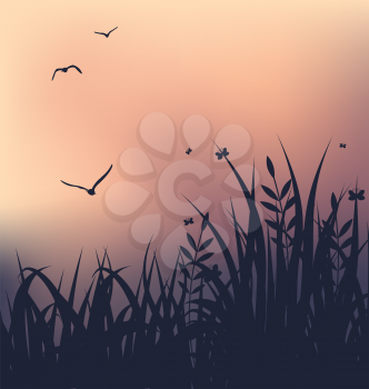 Illustration sunset with grass and flying seagulls - vector