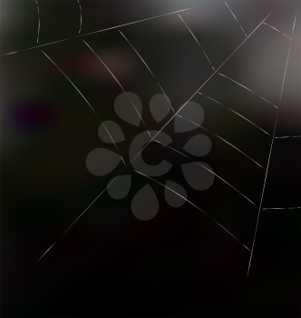 Trap spider web on dark background for design web or nature concept - vector