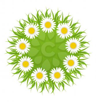 Illustration spring freshness round card with grass and camomiles flowers - vector