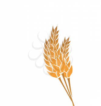 Illustration ears of wheat isolated on white background - vector