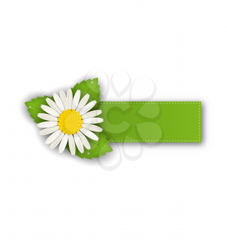 Illustration label or offer sticker with flower daisy, isolated on white background - vector