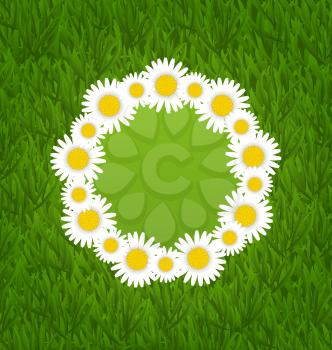 Illustration spring freshness card with grass and camomiles flowers - vector