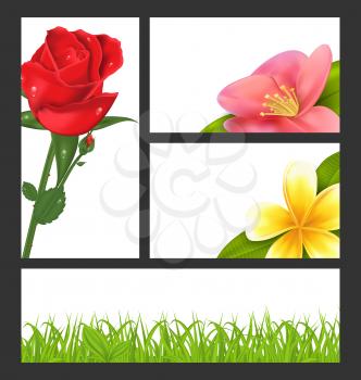 Illustration invitation brochure with beautiful flowers (rose, quince; frangipani) and grass, template card layout, copy space for your text - vector