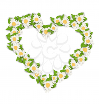Illustration Camomile Flowers in Form Heart Isolated on White Background. Spring Card - Vector