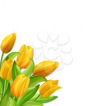 Illustration Natural Bouquet with Yellow Tulips Flowers Isolated on White Background, Copy Space for Your Text - Vector