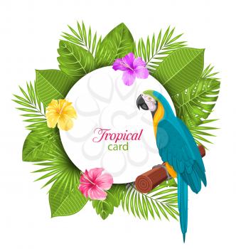 Illustration Tropical Card with Parrot Ara, Colorful Hibiscus Flowers Blossom and Exotic Leaves - Vector