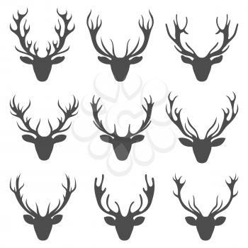 Set Deer Heads, Collection Stag Horns, Isolated on White Background - illustration Vector
