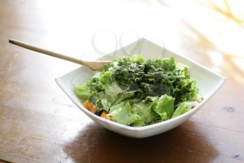healthy food - salad of the fresh vegetables closeup