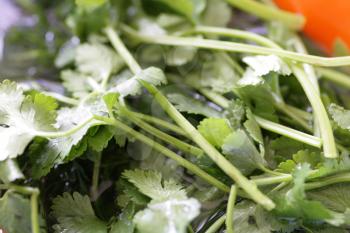 healthy food -  fresh vegetables for salad closeup