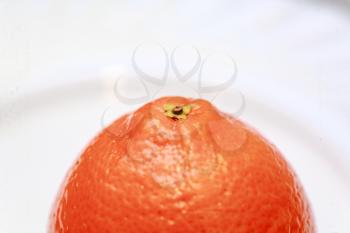 orange isolated on the white background closeup