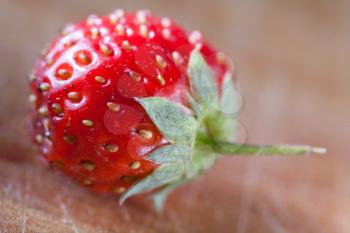 strawberry on the wooden plank, very closeup
